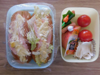DSCN6541