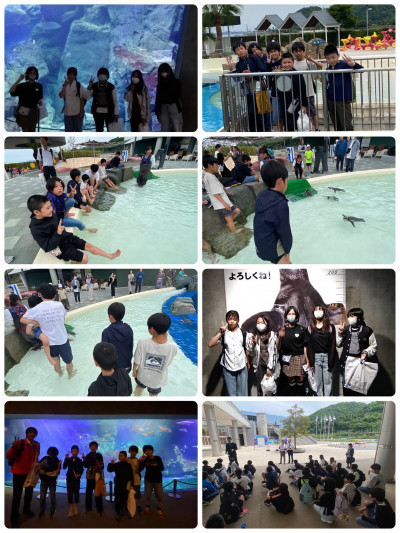 8026C02A-83CD-4F8D-8EA4-D4E444AA5348