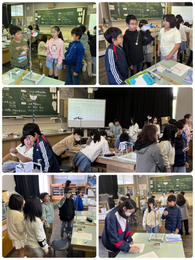F24F556E-F293-4A83-BEE2-223C93663CD2