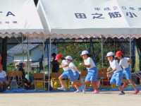DSCN5875