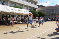 IMG_3383