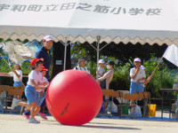 DSCN5898