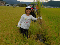 DSCN6111