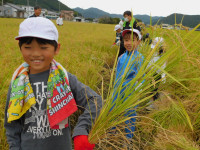 DSCN6122