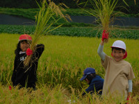 DSCN6129