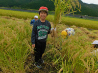 DSCN6138