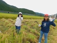 DSCN6139