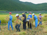 DSCN6155