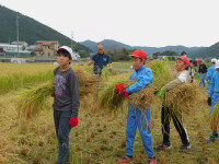 DSCN6162